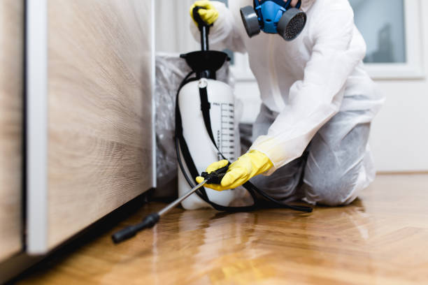 Best Termite Control Services  in Sacred Heart University, CT