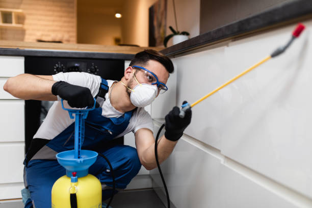 Reliable Sacred Heart University, CT Pest Control Solutions