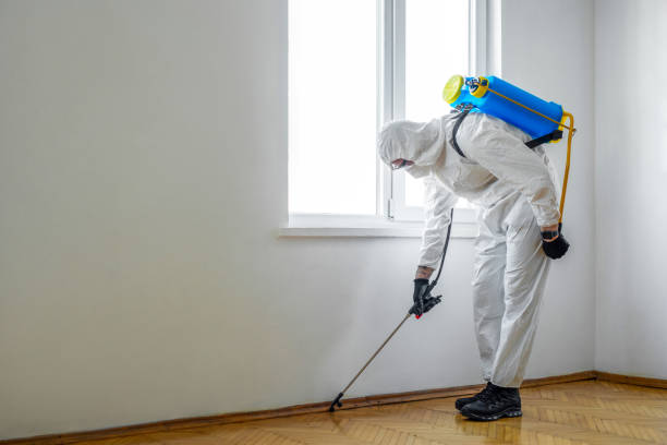 Best Wasp Removal Services  in Sacred Heart University, CT