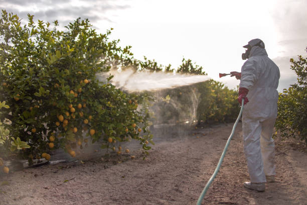 Pest Control Cost in Sacred Heart University, CT
