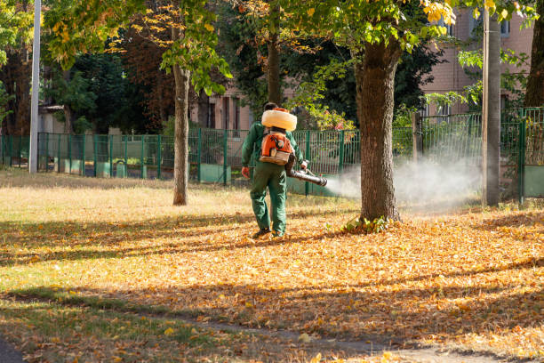 Best Insect Control  in Sacred Heart University, CT