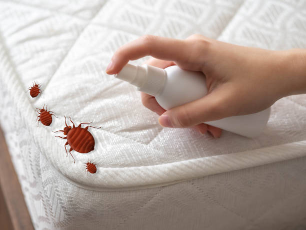 Best Spider Control Near Me  in Sacred Heart University, CT