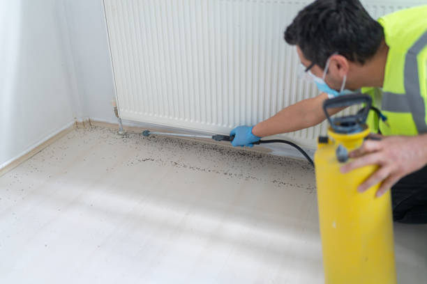 Best Cockroach Control Services  in Sacred Heart University, CT