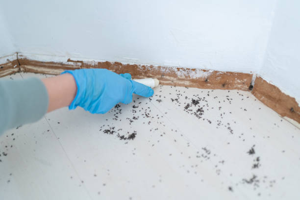 Best Exterminator Services  in Sacred Heart University, CT