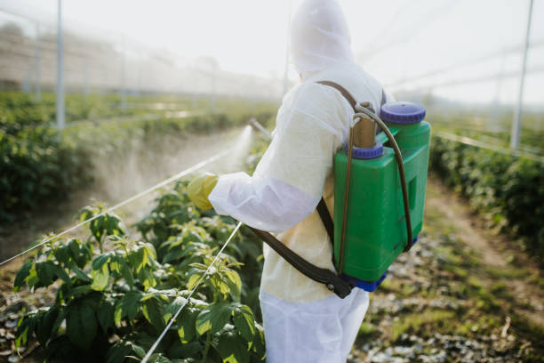 Best Local Pest Control Services  in Sacred Heart University, CT